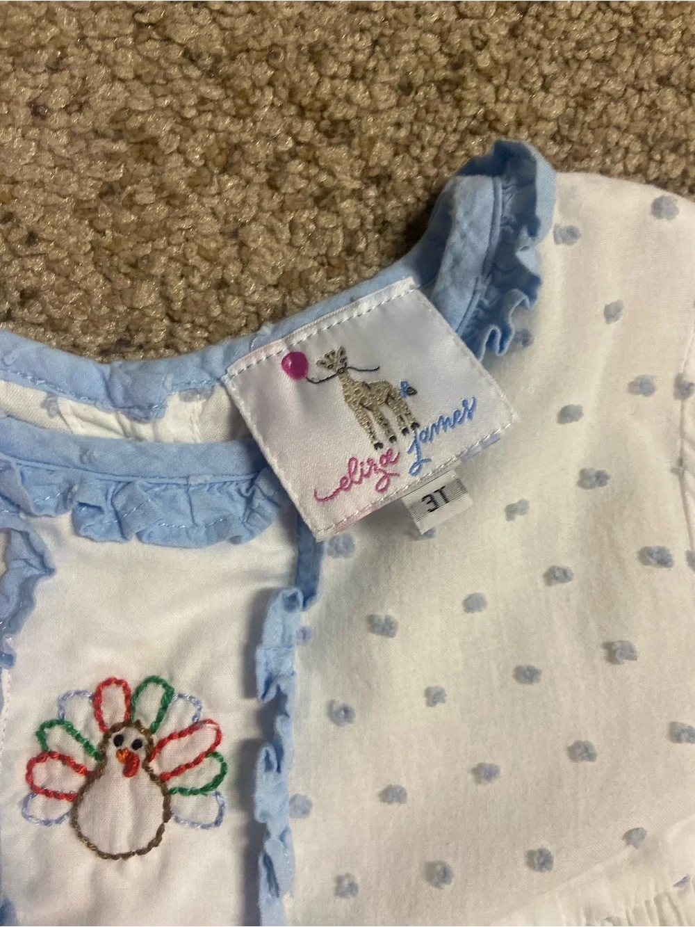 Eliza James Thanksgiving dress embroidered turkey swiss dots 3T girls Toddler